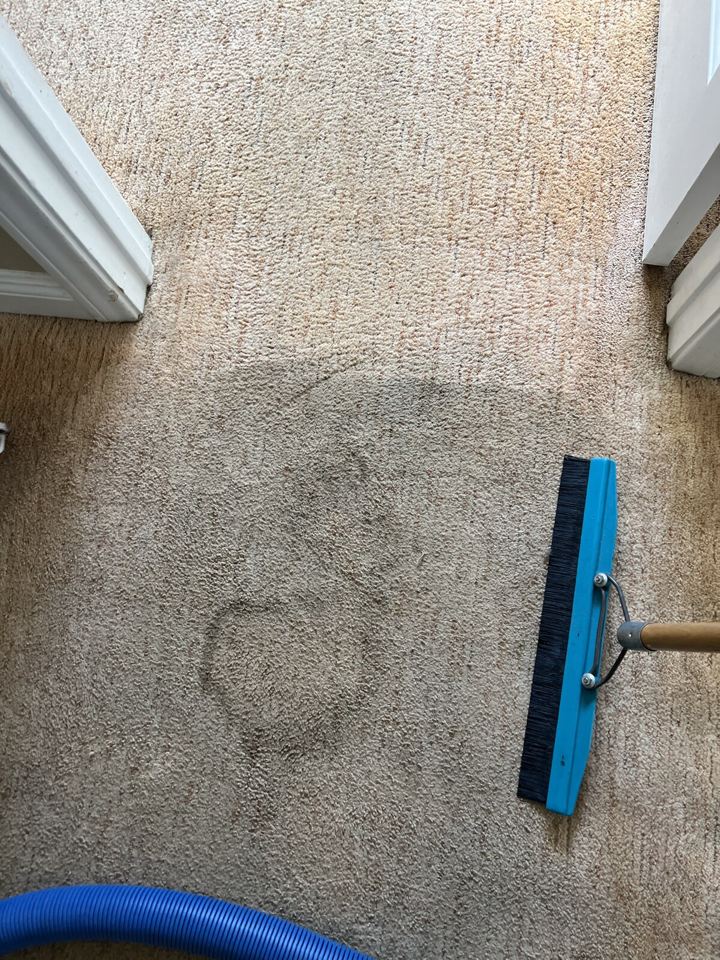 Doorway carpet earlier in the visit, with visible dark circular marks and a cleaning brush