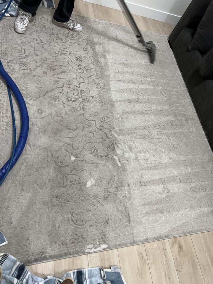 Cleaning passes visible across a gray carpet beside hard flooring