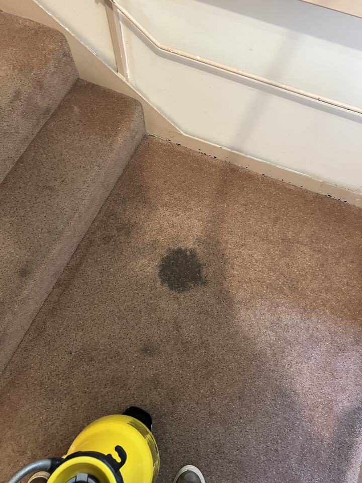 Dark carpet spot beside a staircase before treatment