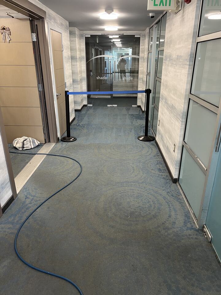 Patterned hallway carpet with cleaning hoses visible
