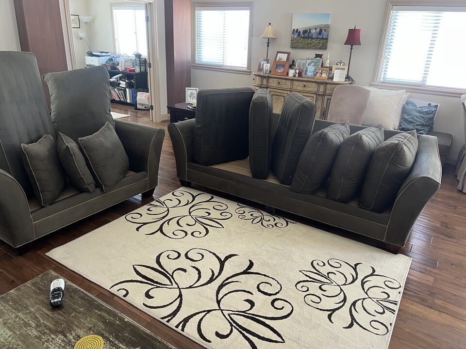 Patterned area rug with sofas and cushions in a living room