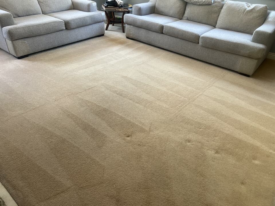 Beige living-room carpet with cleaning passes visible between two sofas
