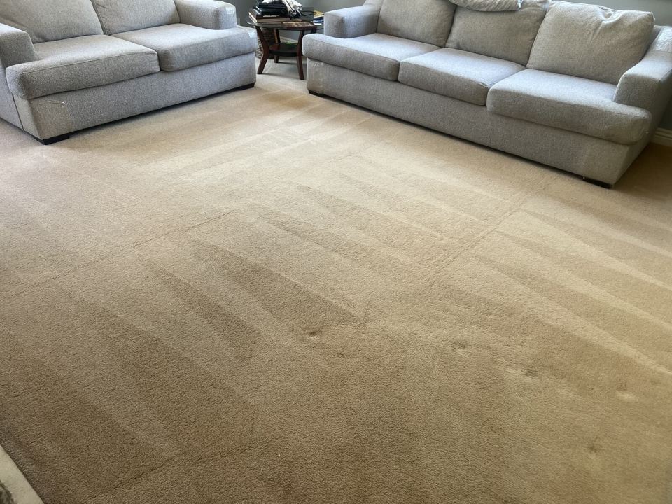 Beige living-room carpet with visible grooming passes between two sofas